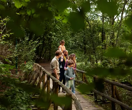 Nature Trail